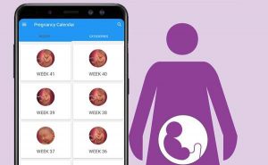 Aplikasi Pregnancy Calculator and Calendar